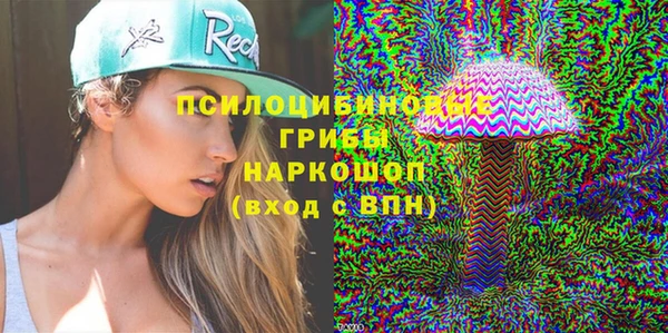 хмурый Алексеевка