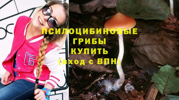 хмурый Алексеевка