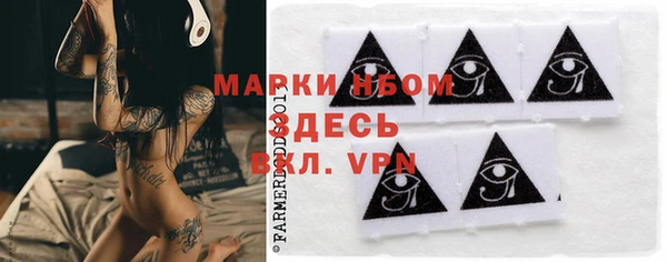 хмурый Алексеевка