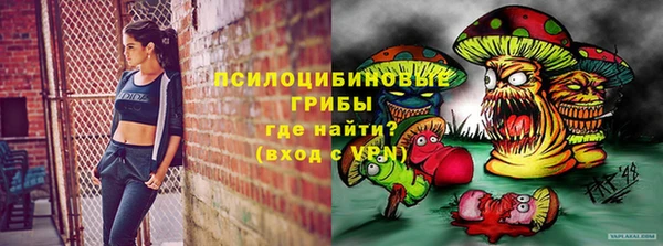 хмурый Алексеевка