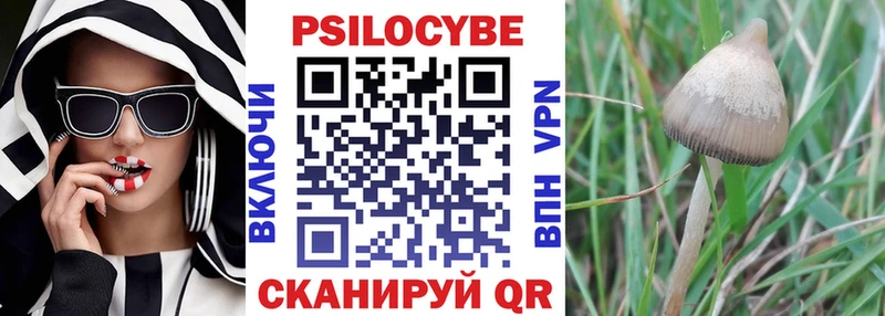 Купить  Ачхой-Мартан  Псилоцибиновые грибы мухоморы 