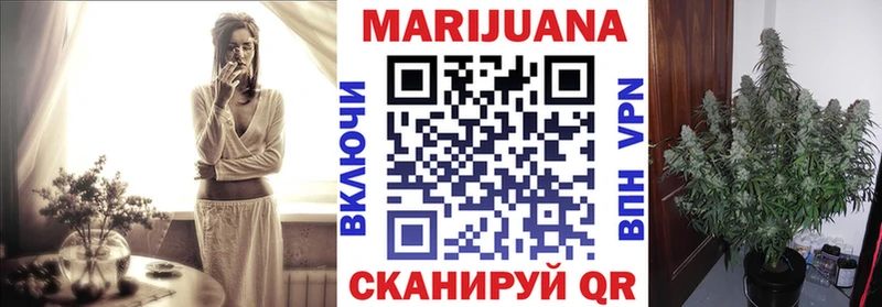 Купить где  Ачхой-Мартан  Бошки Шишки планчик 